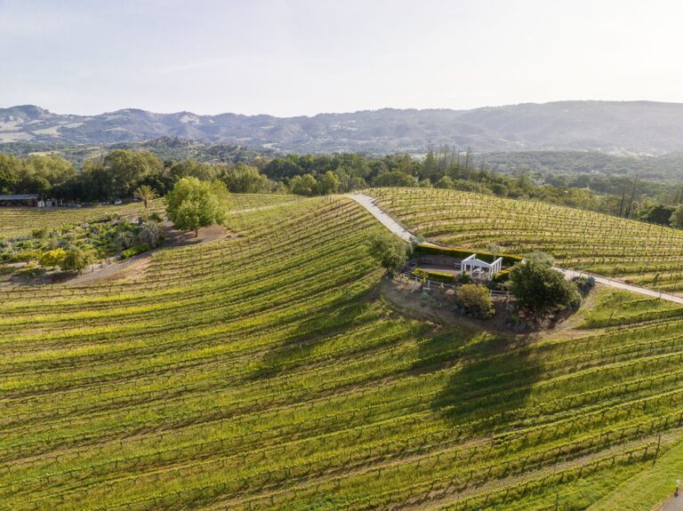 benziger family winery glen ellen