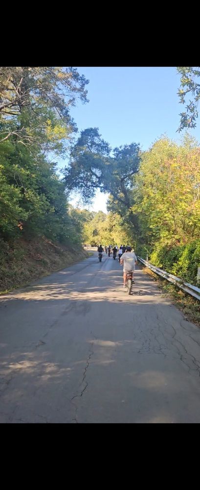 fat tire bike rentals napa