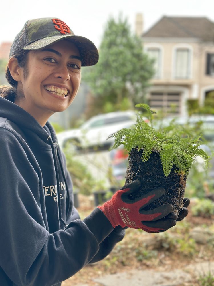 nature in the city gardening san francisco 5