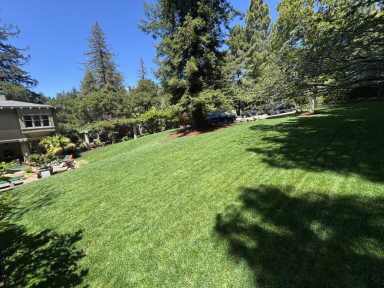 orchid landscaping and gardening san francisco 3