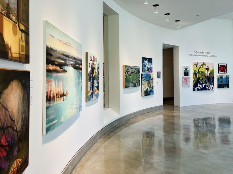 triton museum of art santa clara